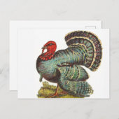 Turkije Briefkaart (Voorkant / Achterkant)