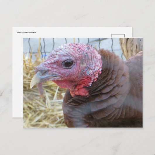 Turkije Briefkaart (Voorkant / Achterkant)