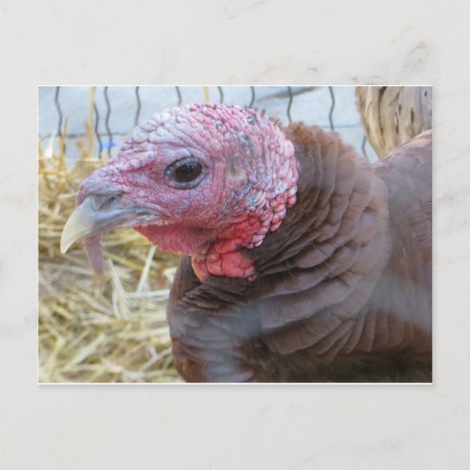 Turkije Briefkaart (Voorkant)