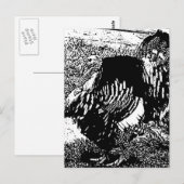 turkije briefkaart (Voorkant / Achterkant)