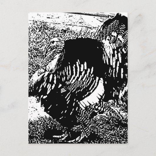 turkije briefkaart (Voorkant)
