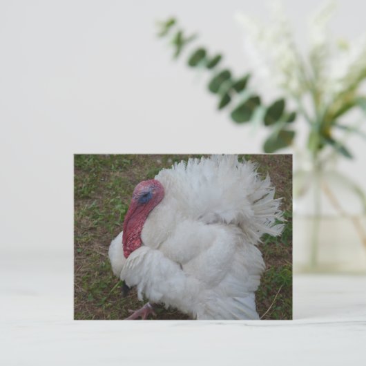 Turkije Briefkaart (Staand voorkant)