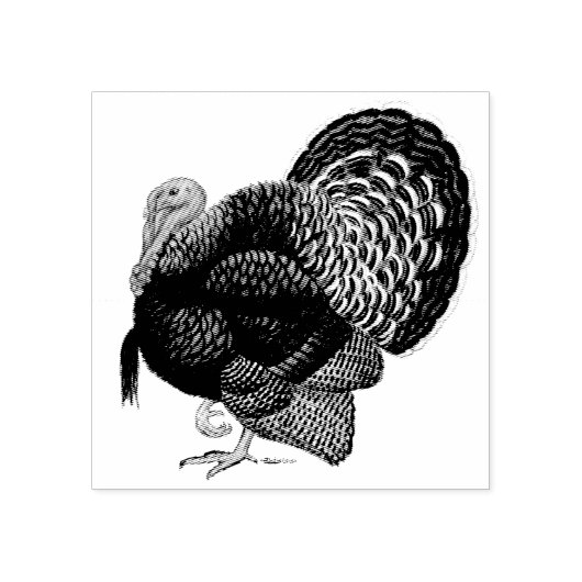 Turkije: Brons Tom Rubberstempel (Afrduk)