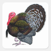 Turkije: Brons Tom Vierkante Sticker (Voorkant)