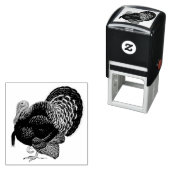 Turkije: Brons Tom Zelfinktende Stempel (In situ)