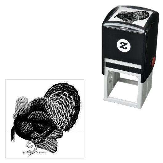 Turkije: Brons Tom Zelfinktende Stempel (In situ)