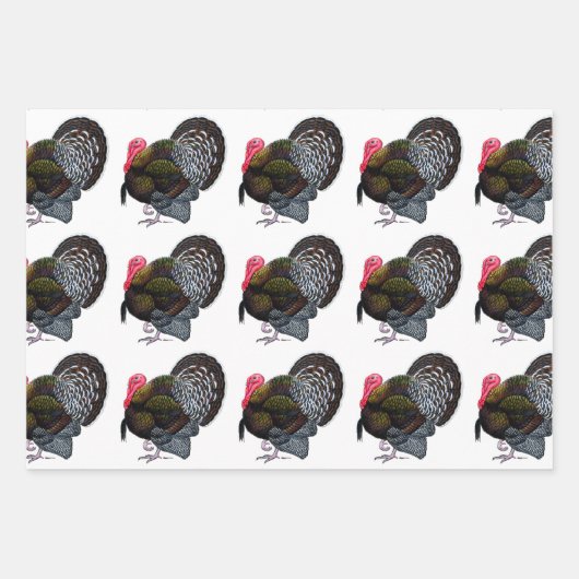 Turkije:  Bronze Tom Inpakpapier Vel (Voorkant 3)