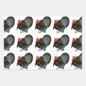 Turkije:  Bronze Tom Inpakpapier Vel (Voorkant 2)