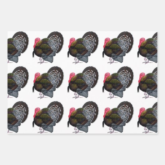 Turkije:  Bronze Tom Inpakpapier Vel (Voorkant 2)