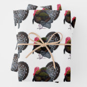 Turkije:  Bronze Tom Inpakpapier Vel (In situ)