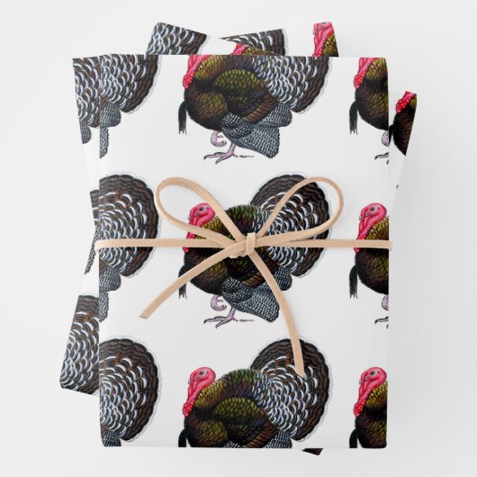 Turkije:  Bronze Tom Inpakpapier Vel (In situ)