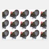 Turkije:  Bronze Tom Inpakpapier Vel (Voorkant)