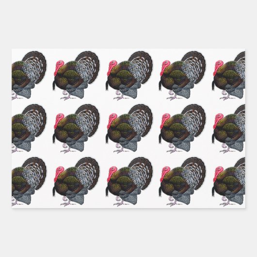 Turkije:  Bronze Tom Inpakpapier Vel (Voorkant)