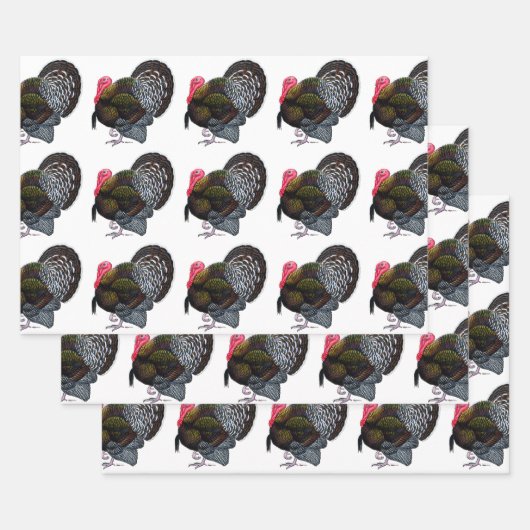 Turkije:  Bronze Tom Inpakpapier Vel (Set)