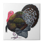 Turkije:  Bronze Tom Tegeltje (Voorkant)