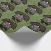 Turkije Cadeaupapier (Hoek)