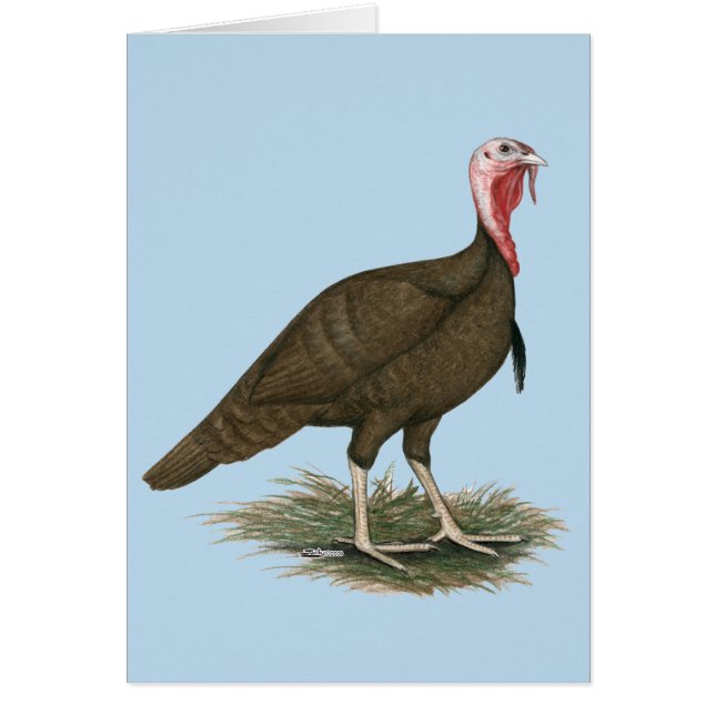 Turkije Chocolade Tom (Voorkant)