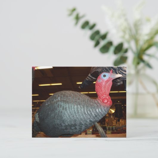 Turkije Decoy Briefkaart (Staand voorkant)