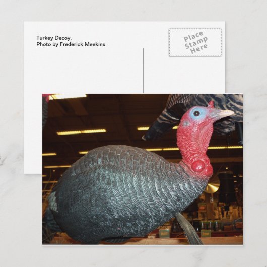 Turkije Decoy Briefkaart (Voorkant / Achterkant)