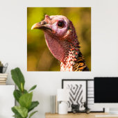 Turkije dichtbij en persoonlijk 32 x 32 Poster (Thuiskantoor)