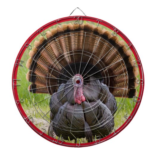 Turkije Doelwit Dartbord (Voorkant)