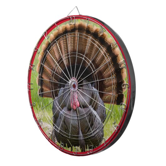 Turkije Doelwit Dartbord (Voorkant Rechts)