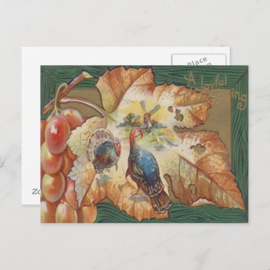 Turkije Druiven Windmolen Herfst Leaf Briefkaart (Voorkant / Achterkant)