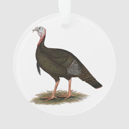 Turkije: Eastern Wild Tom Ornament (achterkant)