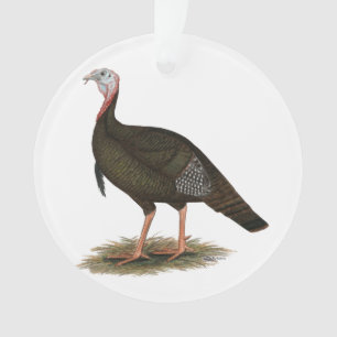 Turkije:  Eastern Wild Tom Ornament