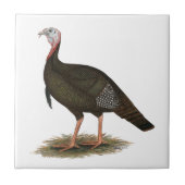 Turkije: Eastern Wild Tom Tegeltje (Voorkant)