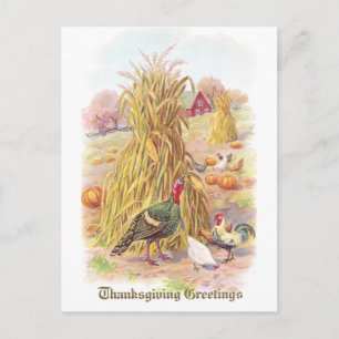 Turkije en kudde van kippen  Thanksgiving Feestdagenkaart