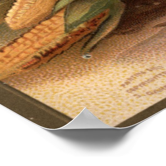 Turkije en productnummer 1 poster (Hoek)