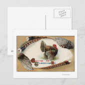 Turkije Feathers Briefkaart (Voorkant / Achterkant)