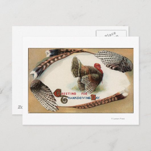 Turkije Feathers Briefkaart (Voorkant / Achterkant)