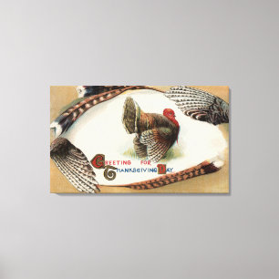 Turkije Feathers Canvas Afdruk