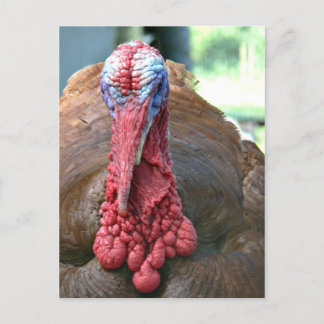 Turkije Feestdagenkaart
