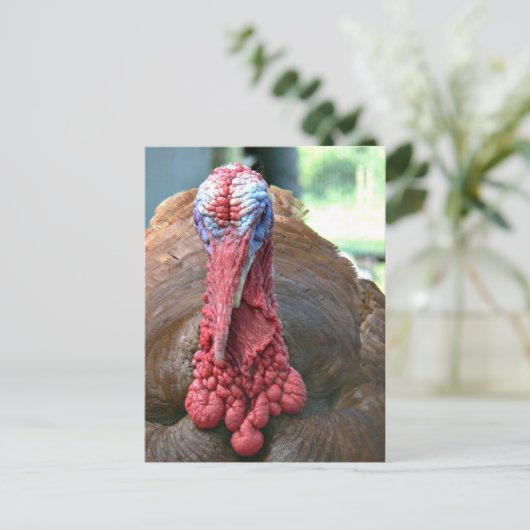 Turkije Feestdagenkaart (Staand voorkant)