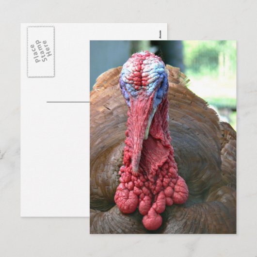 Turkije Feestdagenkaart (Voorkant / Achterkant)