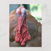 Turkije Feestdagenkaart (Voorkant)