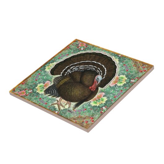 Turkije: Groenen Tegeltje (Zijkant)