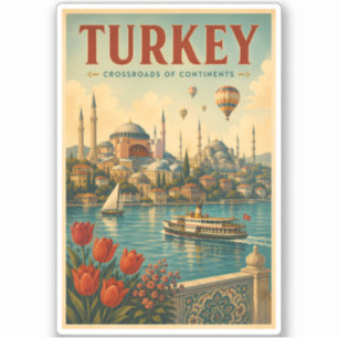 Turkije Hagia Sophia Blauwe Moskee Illustratie Ret Sticker