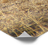 Turkije Horizon Poster (Hoek)