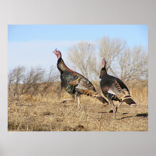 Turkije Horizon Poster (Voorkant)