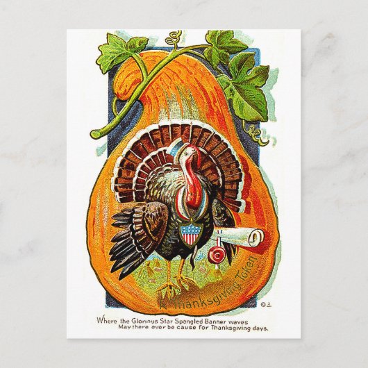 Turkije in oranje pompoen,  Thanksgiving Briefkaart (Voorkant)