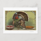 Turkije in Punch en Pie Briefkaart (Voorkant)