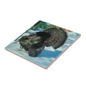 Turkije loopt in de winter van de sneeuwwinter in  tegeltje (Zijkant)