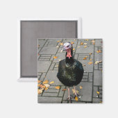 Turkije Magneet (Voorkant / Achterkant)