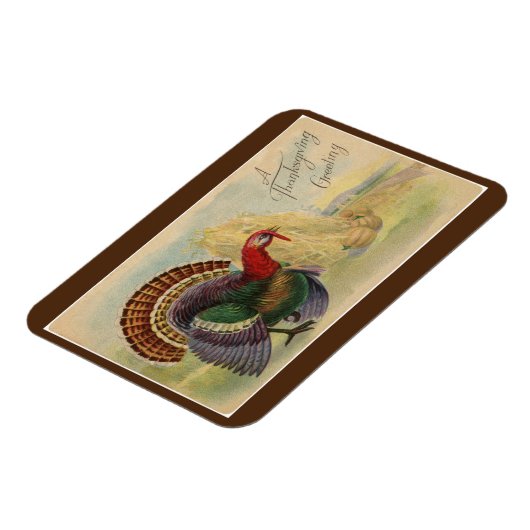 Turkije Magneet (Linkerzijde)