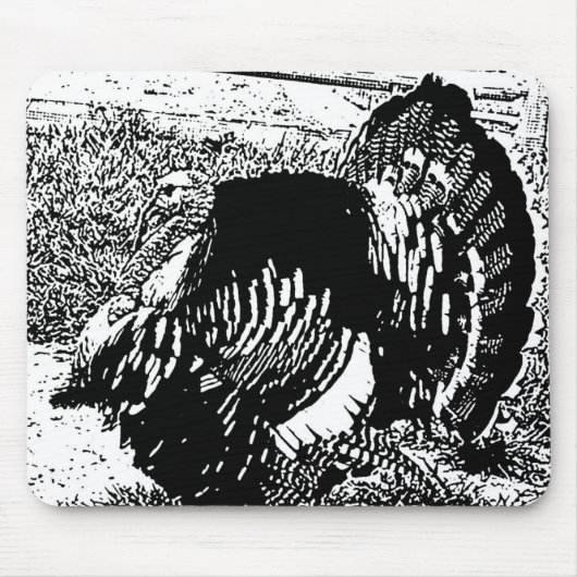 turkije muismat (Voorkant)