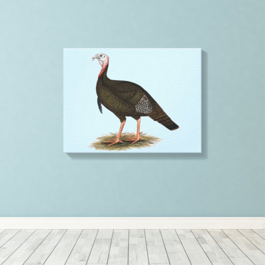 Turkije: Oost-wilde Tom Canvas Afdruk (Insitu (Houten vloer))